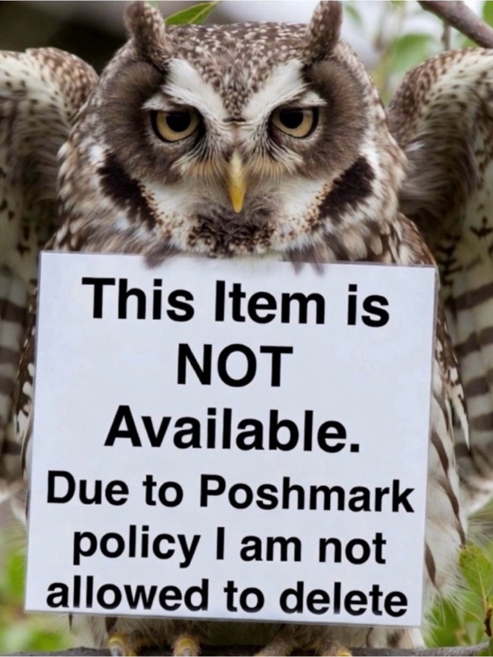 NOT AVAILABLE